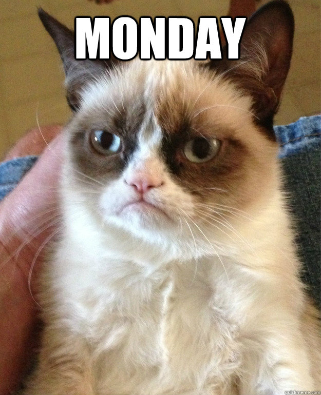 monday   Grumpy Cat