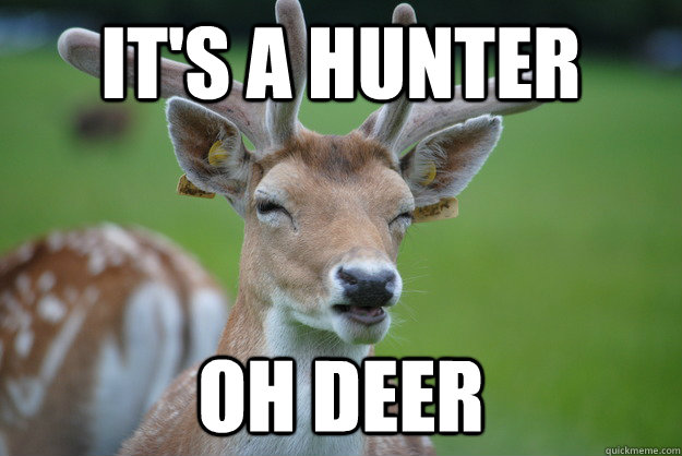 It's a hunter OH DEER - It's a hunter OH DEER  Deer Fry