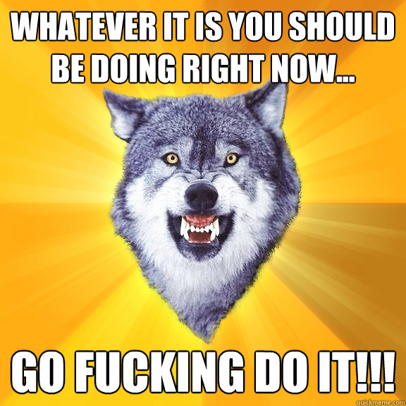 whatever it is you should be doing right now...
 go fucking do it!!!
  Courage Wolf