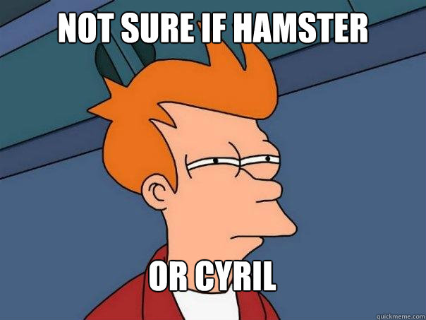 not sure if hamster or cyril  Futurama Fry