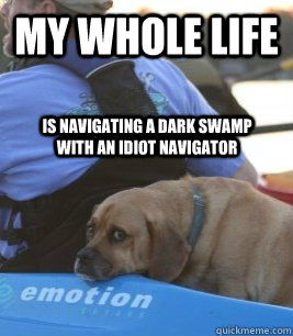 My whole life Is navigating a dark swamp with an idiot navigator  