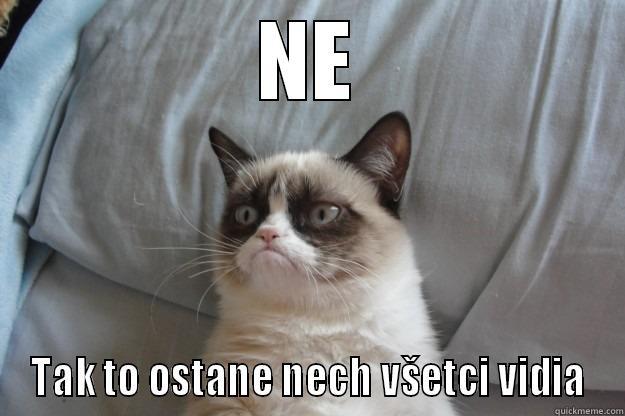 Grumpy Cat Being Grumpy - NE TAK TO OSTANE NECH VŠETCI VIDIA Grumpy Cat