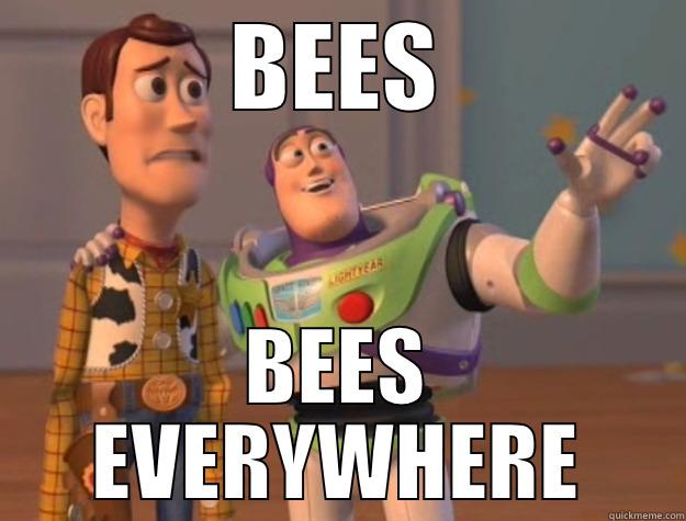 BEES BEES EVERYWHERE Toy Story
