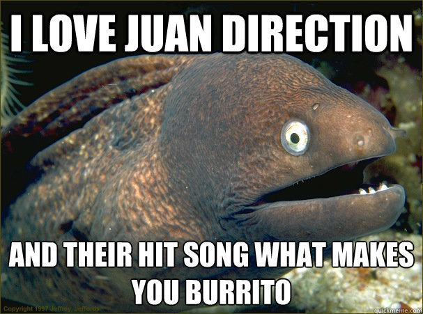 I love Juan Direction And their hit song what makes you burrito  Bad Joke Eel