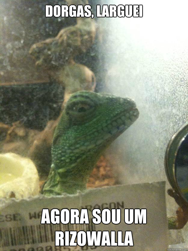 Dorgas, larguei Agora sou um Rizowalla  Leery Lizard