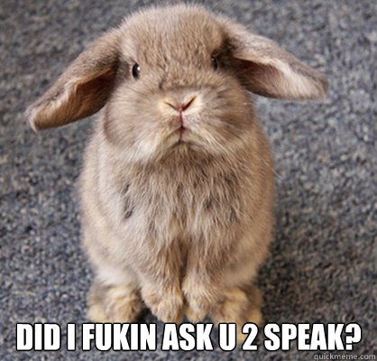  Did I fukin ask u 2 speak? -  Did I fukin ask u 2 speak?  Droopy rabbit cares