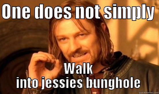 ONE DOES NOT SIMPLY  WALK INTO JESSIES BUNGHOLE Boromir