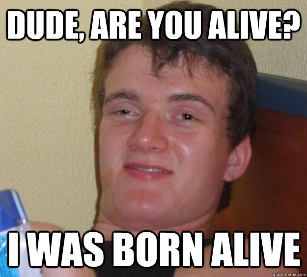 Dude, are you alive? I was born alive - Dude, are you alive? I was born alive  10 Guy