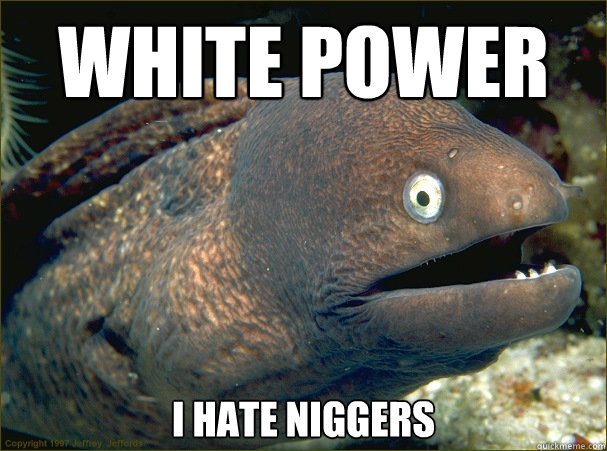 white power i hate niggers  Bad Joke Eel