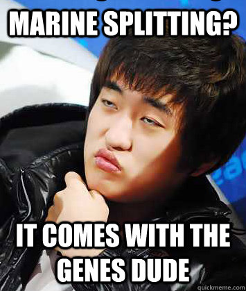 Marine splitting? It comes with the genes dude  flash starcraft 2