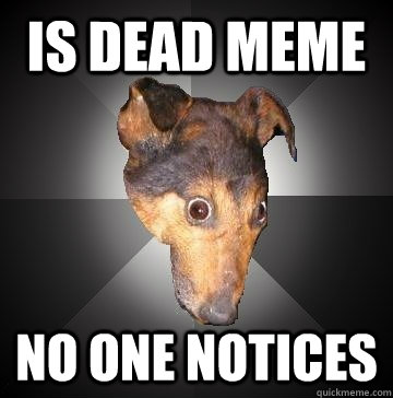 IS DEAD MEME NO ONE NOTICES  Depression Dog