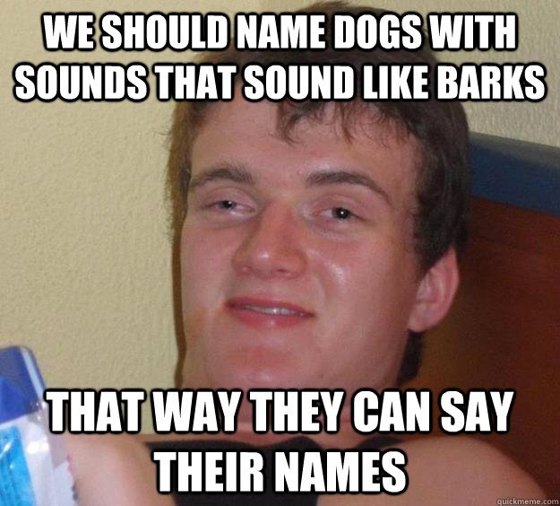 We should name dogs with sounds that sound like barks that way they can say their names - We should name dogs with sounds that sound like barks that way they can say their names  10 Guy