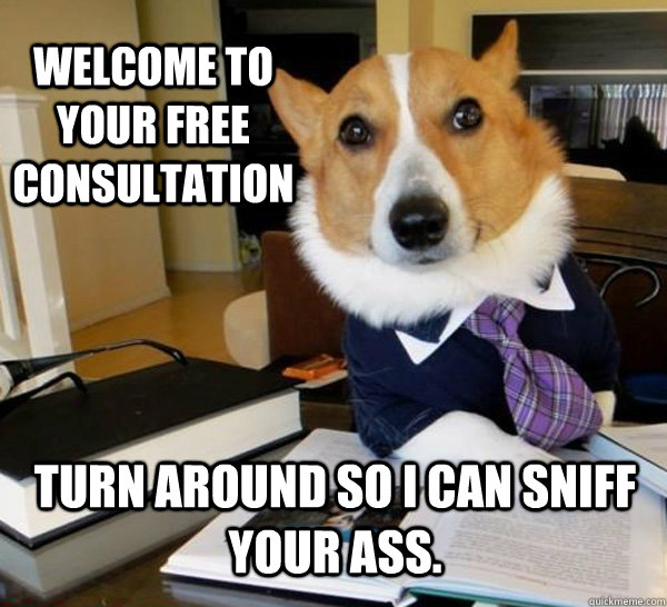 Welcome to your free consultation Turn around so I can sniff your ass.  Lawyer Dog