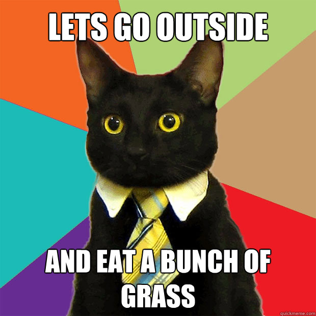 lets go outside and eat a bunch of grass  Business Cat