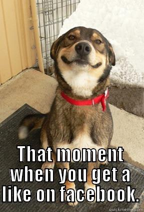 Totally true. -  THAT MOMENT WHEN YOU GET A LIKE ON FACEBOOK. Good Dog Greg