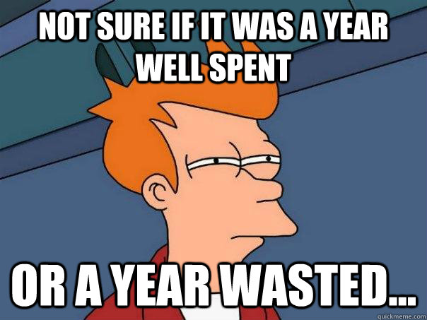 not sure if it was a year well spent or a year wasted...  Futurama Fry