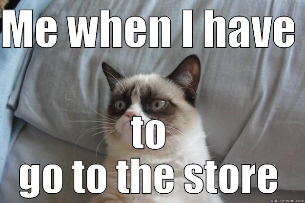 ME WHEN I HAVE  TO GO TO THE STORE Grumpy Cat