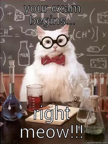 YOUR EXAM BEGINS... RIGHT MEOW!!! Chemistry Cat