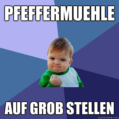 PFEFFERMUEHLE AUF GROB STELLEN  Success Kid