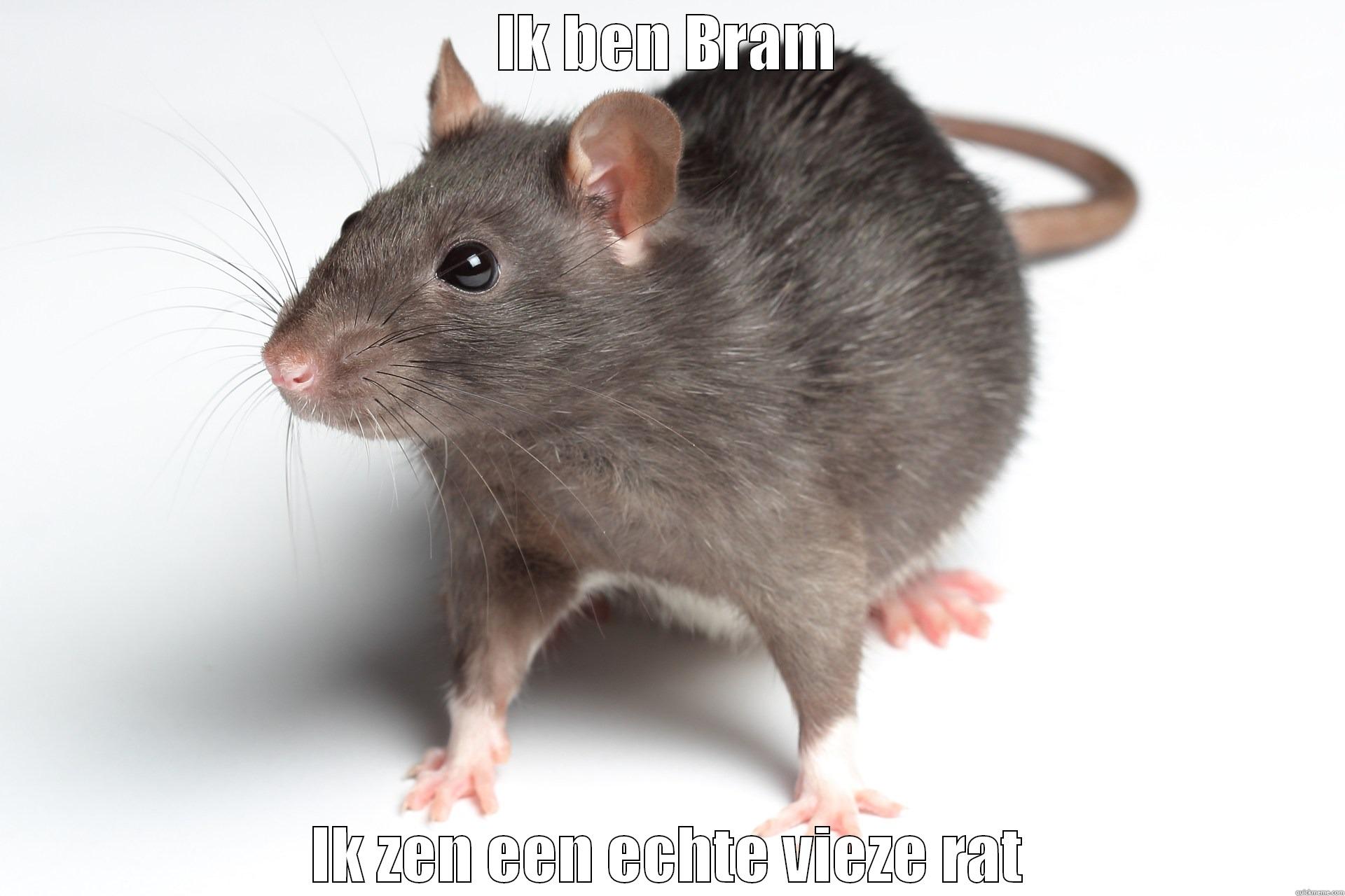 Bram de rat - IK BEN BRAM IK ZEN EEN ECHTE VIEZE RAT Misc