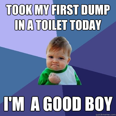 took my first dump in a toilet today I'm  a good boy  Success Kid