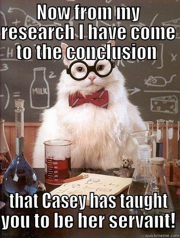 NOW FROM MY RESEARCH I HAVE COME TO THE CONCLUSION  THAT CASEY HAS TAUGHT YOU TO BE HER SERVANT! Chemistry Cat