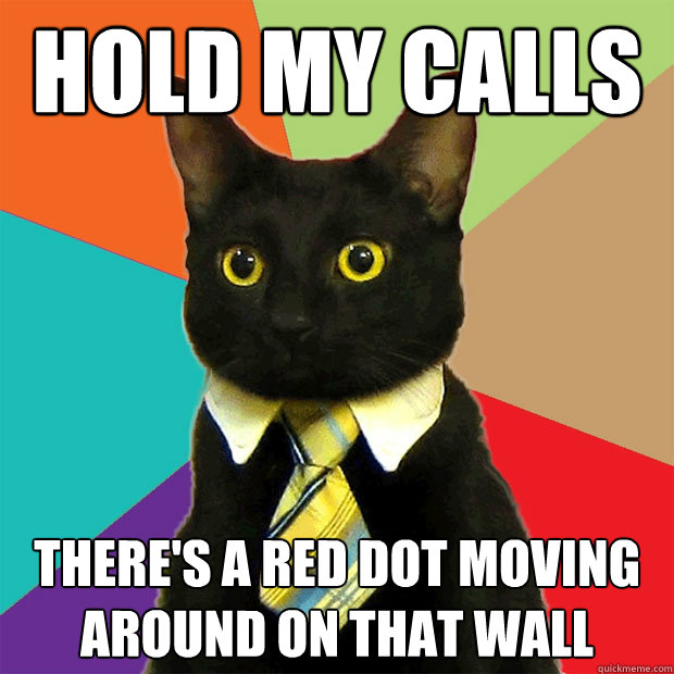 Hold my calls There's a red dot moving around on that wall  Business Cat