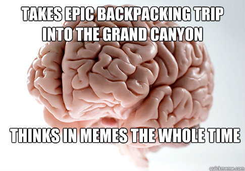 Takes epic backpacking trip into the Grand Canyon Thinks in memes the whole time - Takes epic backpacking trip into the Grand Canyon Thinks in memes the whole time  Scumbag Brain