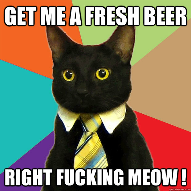 GET ME A FRESH BEER RIGHT FUCKING MEOW !  Business Cat