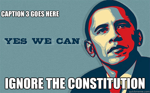  IGNORE THE CONSTITUTION Caption 3 goes here  Scumbag Obama