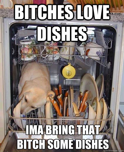 Bitches love dishes Ima bring that
bitch some dishes  