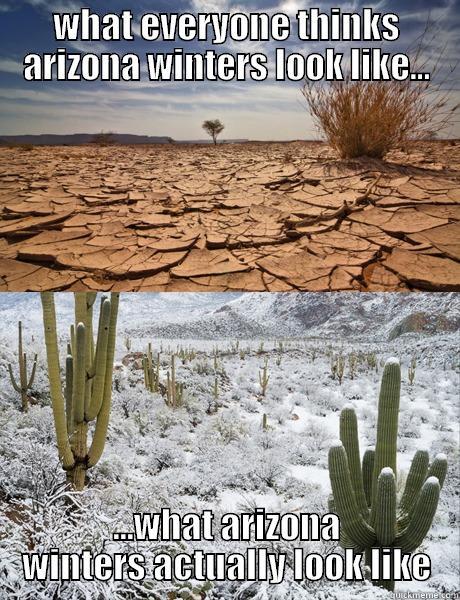 WHAT EVERYONE THINKS ARIZONA WINTERS LOOK LIKE... ...WHAT ARIZONA WINTERS ACTUALLY LOOK LIKE Misc