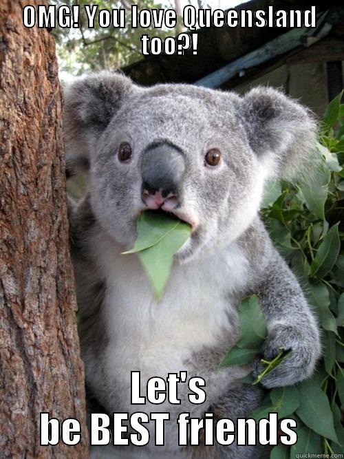 OMG! YOU LOVE QUEENSLAND TOO?! LET'S BE BEST FRIENDS koala bear