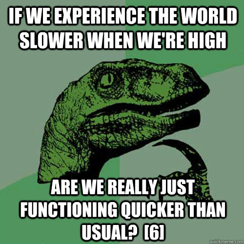 If we experience the world slower when we're high Are we really just functioning quicker than usual?  [6]  Philosoraptor