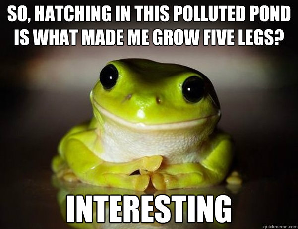 So, hatching in this polluted pond is what made me grow five legs? Interesting    Fascinated Frog