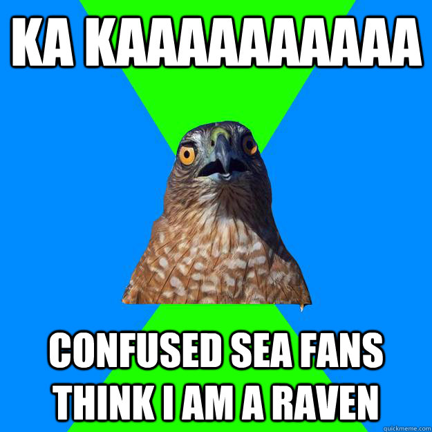 KA KAAAAAAAAAA Confused SEA fans think I am a Raven  Hawkward