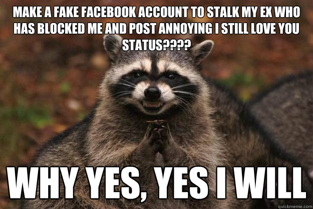 Make a fake facebook account to stalk my ex who has blocked me and post annoying i still love you status???? Why yes, yes I will  Evil Plotting Raccoon