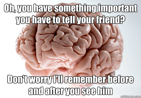 Oh, you have something important you have to tell your friend? Don't worry I'll remember before and after you see him   Scumbag Brain