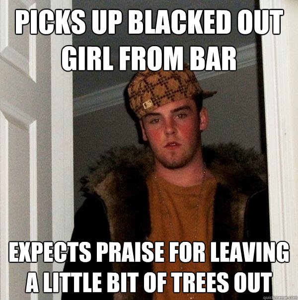 picks up blacked out girl from bar expects praise for leaving a little bit of trees out  Scumbag Steve