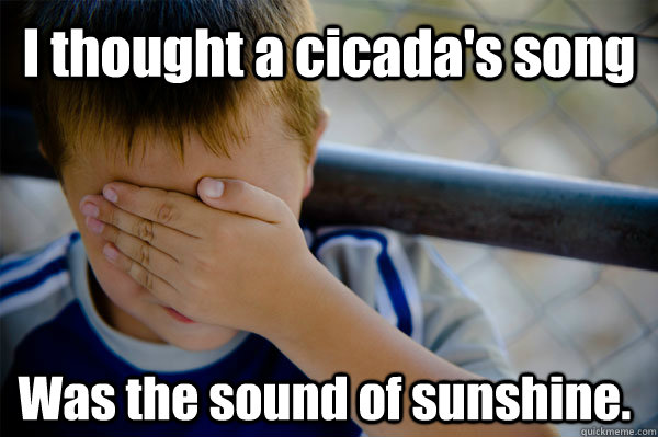 I thought a cicada's song Was the sound of sunshine.  Confession kid