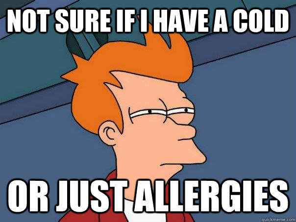 Not sure if I have a cold Or just allergies - Not sure if I have a cold Or just allergies  Futurama Fry