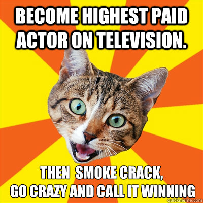 Become highest paid actor on television. Then  smoke crack,
 go crazy and call it winning  Bad Advice Cat