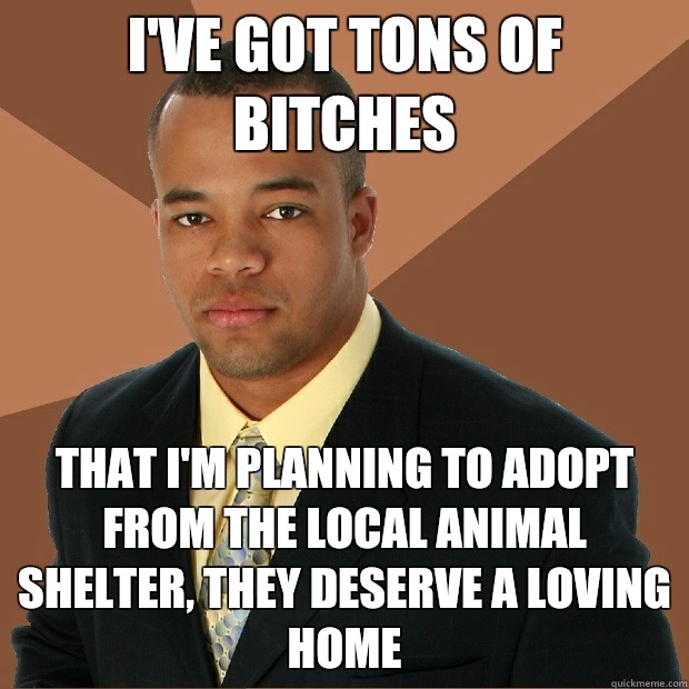 I've got tons of bitches  That I'm planning to adopt from the local animal shelter, they deserve a loving home  - I've got tons of bitches  That I'm planning to adopt from the local animal shelter, they deserve a loving home   Successful Black Man