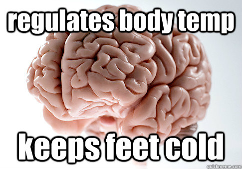 regulates body temp keeps feet cold  Scumbag Brain