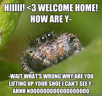 hiiiii! <3 welcome home! how are y- -wait what's wrong why are you lifting up your shoe i can't see y-
ahhh noooooooooooooooooo  Misunderstood Spider