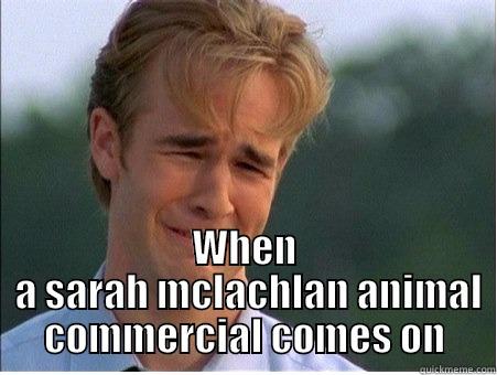  WHEN  A SARAH MCLACHLAN ANIMAL COMMERCIAL COMES ON 1990s Problems