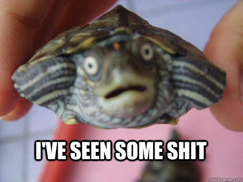 I'VE SEEN SOME SHIT - I'VE SEEN SOME SHIT  Suprised Turtle