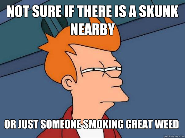 Not sure if there is a Skunk
nearby or just someone smoking great weed - Not sure if there is a Skunk
nearby or just someone smoking great weed  Futurama Fry