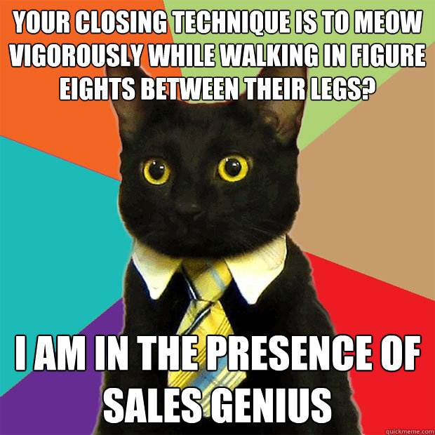 your closing technique is to meow vigorously while walking in figure eights between their legs? I am in the presence of sales genius  Business Cat