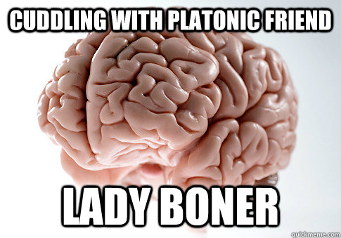 Cuddling with platonic friend lady boner  Scumbag Brain